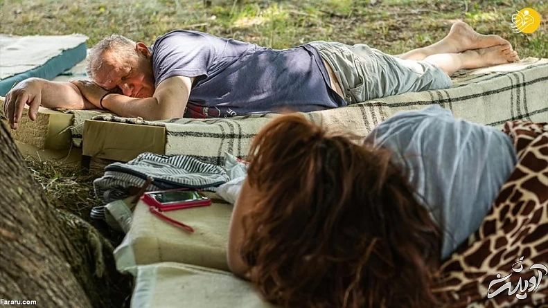 (تصاویر) مسابقه انتخاب تنبل‌ترین شهروند!